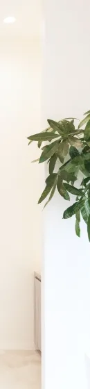 診所內的綠色植物