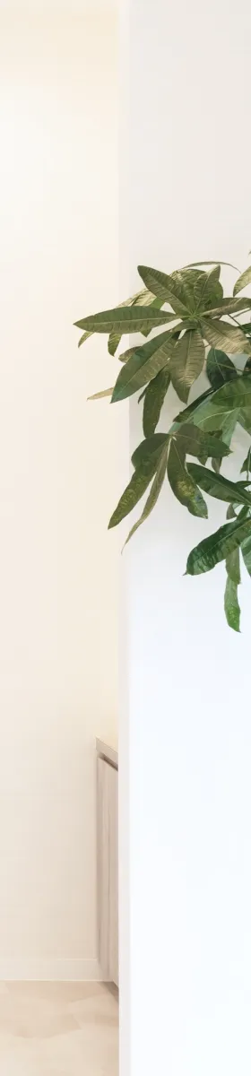 診所內的綠色植物